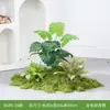 Simulação Plantas Verdes Paisagismo Plantas Artificiais Musgo Verde Musgo Verde Combinação de Micro Paisagem Decoração de Interior Janela Corredor Exibição Decoração