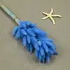 Flores Secas, Cola de Conejo, 60 Piezas/Manojo, Ramo de Lujo Ligero, Adornos de Flores Reales, Pequeño Ramo de Flores Eternas Regalo, Materiales de Flores Reales