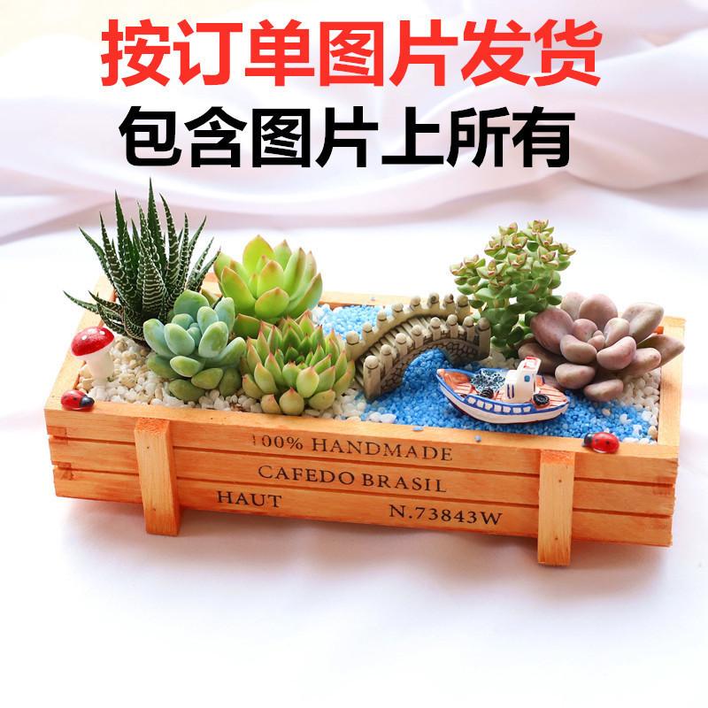 e0f52f9b-c9ca-4841-a376-d3eebb42fd32.jpg