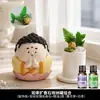 Pedra difusora de aroma de Buda versão Q, óleo essencial para quarto, uso doméstico criativo, fragrância premium duradoura, ornamento de mesa de cristal com flor seca