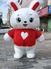 Venda Direta de Fábrica Fantasia de Mascote Gigante Panda Inflável, Fantasia de Fantoche Promocional para Atividades Urso Polar, Role-Playing