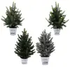 Artículos Populares Transfronterizos: Agujas de Pino Artificiales y Hojas de Ciprés, Plantas en Maceta de Mini Árbol de Navidad, Plantas en Maceta de Cedro, Artículos de Decoración para el Hogar y Comerciales