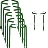 Marco de soporte para plantas transfronterizo estaca para plantas estaca de soporte para plantas herramienta de jardín bonsái soporte para orquídeas soporte para flores de vid trepadora