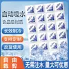 Bolsas de Hielo Autoabsorbentes Sin Agua para Entrega Express, Reutilizables, Desechables, para Conservación, Horneado y Uso Comercial