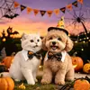 Disfraz de Halloween para Mascota Calabaza Estampado de Araña Sombrero Puntiagudo de Mago Gato Perro Caballero Corbata de Moño Collar Accesorio para Foto