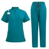 Uniforme de Cuidador con Cuello Alto Europeo y Americano, Cremallera, Lavable, Ropa de Trabajo para Salón de Belleza y Clínica Dental, Manga Corta, Conjunto de Ropa de Trabajo para Enfermera
