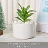 Vaso de Flores Cerâmico Branco Simples Criativo Vaso de Porcelana Branca Dehua Mini Suculenta Orquídea Phalaenopsis Pequeno Vaso Decorativo