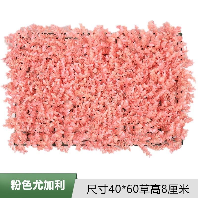 粉色尤加利.jpg
