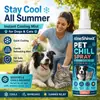 KineShineX Spray Refrigerante para Perros Mascotas para Enfriar y Refrescar, Cómodo y Fresco, Spray Refrigerante Portátil