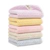 Toalha de Fleece Coral Dupla Face Catiônica para Lavar o Rosto, Secar o Cabelo, Banho, Absorção de Água, Antibacteriana 5A, Atacado, Exportação Rápida Europeia