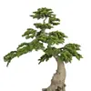 Celebridade da Internet Pin de Boas-Vindas Artificial Personalizado Grande para Paisagismo Interno e Externo Ornamentos Decorativos Atacado Podocarpus Árvore Artificial