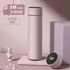 Taza termo inteligente con separación de té, acero inoxidable 316, taza de té para niños, taza de regalo de alto valor cromático, personalización
