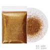 Glitter para unhas glitter ultrafino glitter glitter pó glitter lantejoulas 0,2 mm amarelo dourado conjunto Esmalte de unha cola joia transfronteiriço