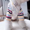 2025 Nuevo Dropshipping Transfronterizo Chaleco Cálido para Cachorro Camiseta Interior Conjunto de Dos Piezas Ropa de Otoño e Invierno