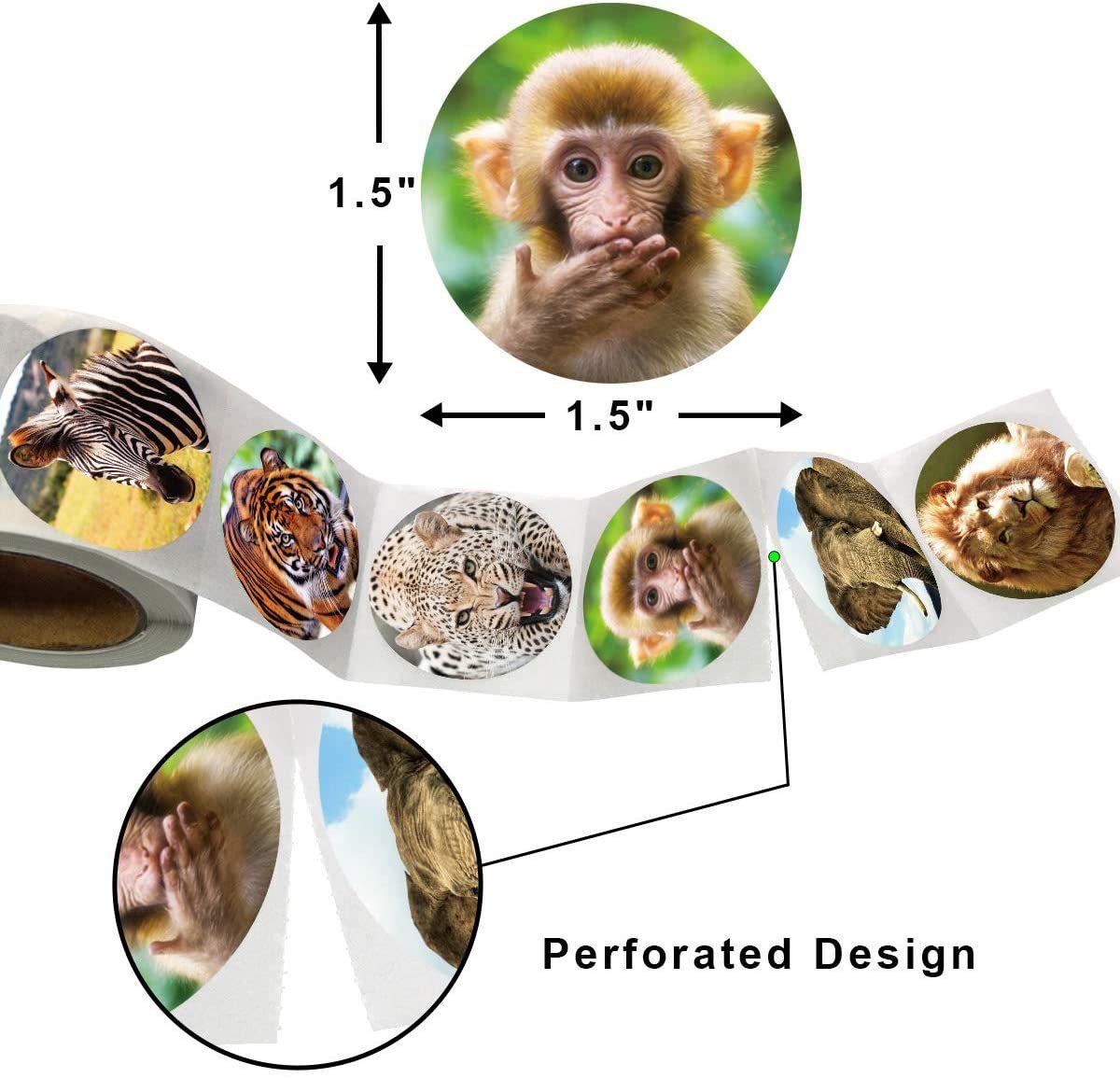 71wacDIHdfL._AC_SL1200_