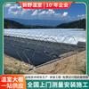 Invernadero Simple para Arándanos, Nuevo Proyecto de Campo, Fabricante de Invernaderos, Invernadero para Plantación de Uvas y Cerezas, Iluminación