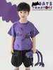 Conjunto de Verano 2026 para Niños Wulibuyi Nuevo Camiseta de Manga Corta con Graffiti de Frutas Pantalones Cortos Holgados Frescos de Cinco Puntos