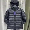Jaqueta acolchoada leve de algodão com capuz RL masculina para exportação transfronteiriça, com cordão ajustável no capuz, estilo casual de negócios americano