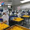 Linha de produção automática de processamento de frutas enlatadas, pequeno equipamento de produção de coco enlatado