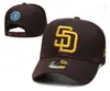 Nueva Gorra de Béisbol Bordada de Comercio Exterior para Hombres y Mujeres, Gorra de Sombrilla de Primavera, Gorra Azul Pájaro Azul Casual con Protección Solar Mlb1