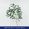 Planta Verde Artificial Folha de Oliveira Ramo Único Guirlanda Estilo Floresta Arranjo de Flores Decoração de Sala de Estar Paisagismo de Jardim Decoração de Árvore Falsa