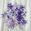 Lazo de Cinta Cinta Macarrón Estilo Ballet Resina Tarjetas Fabricación Empaque Decoración Cáñamo Fluido Uñas Arte Juguete de Apretar Decoración