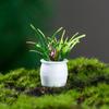 Nueva planta en maceta de simulación de 3-5 cm, venta al por mayor, mini modelo de planta terminado, arte redondo, microadornos para paisajismo.