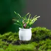Nueva planta en maceta de simulación de 3-5 cm, venta al por mayor, mini modelo de planta terminado, arte redondo, microadornos para paisajismo.