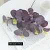 Simulação Transfronteiriça 5 Garfos Eucalipto Dinheiro Yesen Doméstico Pequeno Fresco Paisagem Decoração Flor Simulação Folhas de Planta