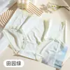 2025 Nueva Ropa Interior de Modal 40S para Niñas y Mujeres Sin Costuras Antibacteriana en la Entrepierna de Cintura Media Primavera y Verano Fabricante de Ropa Interior para Mujeres