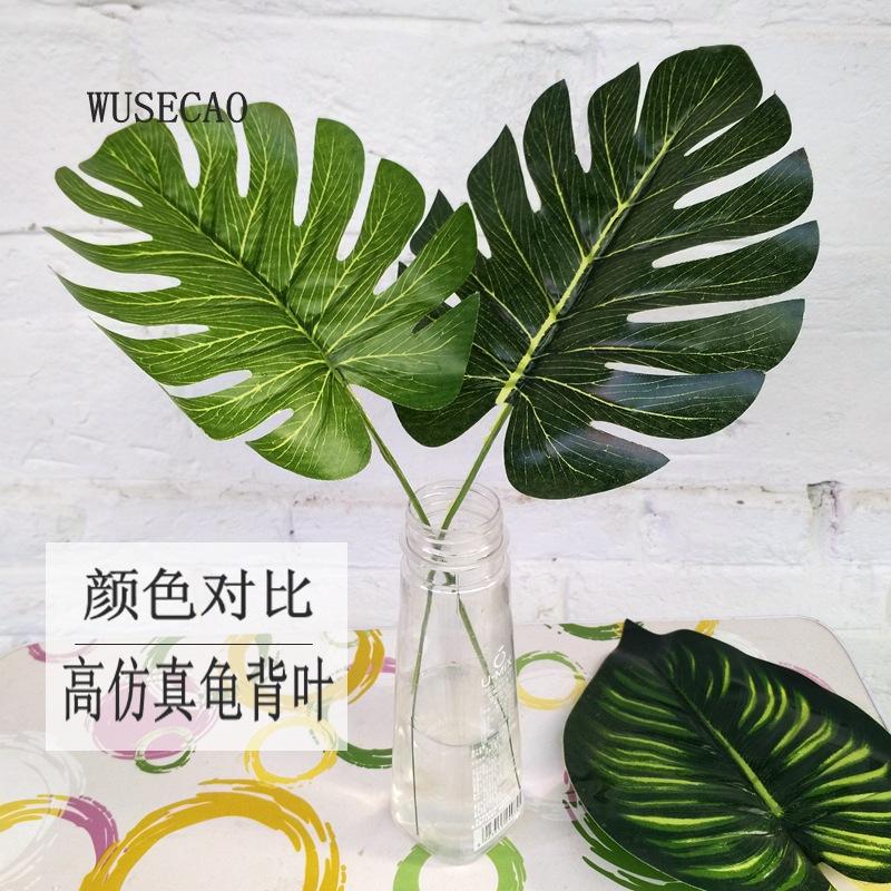 深浅对比 龟背
