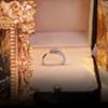Nueva Llegada Chapado en Platino Diamante Completo Brillante Nicho Diseño Creativo Estilo Forma de Serpiente Lujo Ligero Personalizado Elegante Anillo Abierto