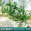 Simulación ramificación enverdecimiento hojas de árbol falso decoración ingeniería jardín pegamento árbol grande hojas de baniano paisajismo accesorios para actuación