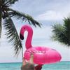Suministro puntual de fábrica en artículos populares portavasos Firebird inflable posavasos acuático flotante portavasos para bebidas