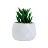 Mini Vaso Criativo Transfronteiriço Simulação Suculenta Flocada Diamante Decorações de Escritório Casa Ornamentos de Planta Verde de Mesa