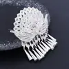 Accesorios para el Cabello de Estilo Étnico para Niños, Adornos para el Cabello, Collares, Cadenas para la Frente Estilo Xizang Étnico Miao, Pinzas para el Cabello para Niñas de Grupos Étnicos Minoritarios en Áreas Miao, Adecuado para Fotos