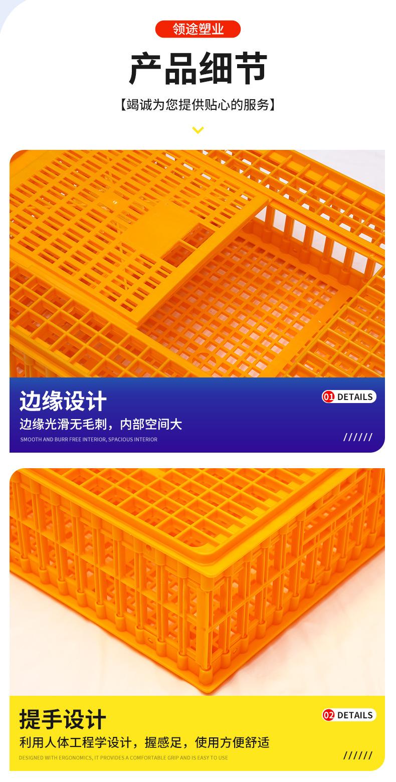 详情_06.jpg