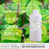 Extrato Líquido de Extrato de Polygonum Cuspidatum em Estoque, Extrato de Polygonum Cuspidatum, Cuidados com a Pele à Base de Plantas, Melatonina, Fornecimento Direto do Fabricante