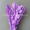 Arranjo de flores eternas folha laranja com ramos de folhagem, materiais florais DIY com toque de alta qualidade, atacado de fabricante de Yunnan, decoração de flores eternas