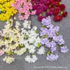 Arranjo floral artificial de flor de cerejeira para decoração de casa, com um único ramo, flor falsa para fotografia, flor de begônia e flor de cerejeira.