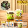Venta al por mayor Casa del Sol Plantación Juego de Experimentos Científicos Pequeños para Niños Observación del Crecimiento de Plantas Fruta Verdura Flor Juguete Regalo