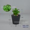 Bonsai de Planta Suculenta Simulada, Grama Tigre, Planta em Vaso de Aloe Vera, Decoração para Peitoril de Janela Interna, Orvalho de Jade, Grama Espada Baolianna