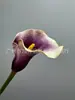 Simulação Considerável PU Médio Alocum Alocum Sensação Calla Flor de Simulação Arranjo de Flores para Casa Decoração de Hotel Clube
