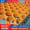 Fabricante de Rejilla de Plástico para Plantar Césped Paisajismo de Jardín Rejilla para Pavimentación de Estacionamiento 4 cm de Alto Rejilla Plana para Plantar Césped