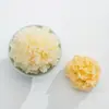 Hongo Blanco Pequeño Orgánico Hongo Blanco Pequeño Gutian Tiene Diferentes Tamaños y Tiene Alta Tasa de Espumado. Se Puede Cocinar en un Solo Recipiente 150g