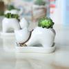 Maceta de Cerámica Blanca Creativa Estilo Country Americano para Flores Carnosas Decoración del Hogar Gatito de Dibujos Animados MengMeng Planta Verde en Maceta