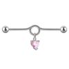 Aretes de Barra de Acero Inoxidable Amor Circonita Transfronterizos 14g Doble Perforación de Oreja Aretes Colgante Alas de Ángel Huesos de la Oreja