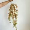 Serie de plantas de simulación reloj de pared colgante ramas y hojas falsas decoración de inauguración de tienda layout colgante de pared de ratán plantas falsas venta al por mayor