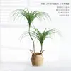 Planta Verde Artificial de Lujo Ligero Flor Artificial Madera Milenaria Maceta de Interior Árbol de Sangre de Dragón Adornos Decorativos para Sala de Estar Suelo
