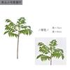 Folhas de Glicínia Simuladas, Madeira Pintada, Folhas Toon para Fazer Materiais de Folhas, Bambu Nandina Simples, Arranjo Floral Chinês, Material de Folhas, Decoração Suave para Paisagismo